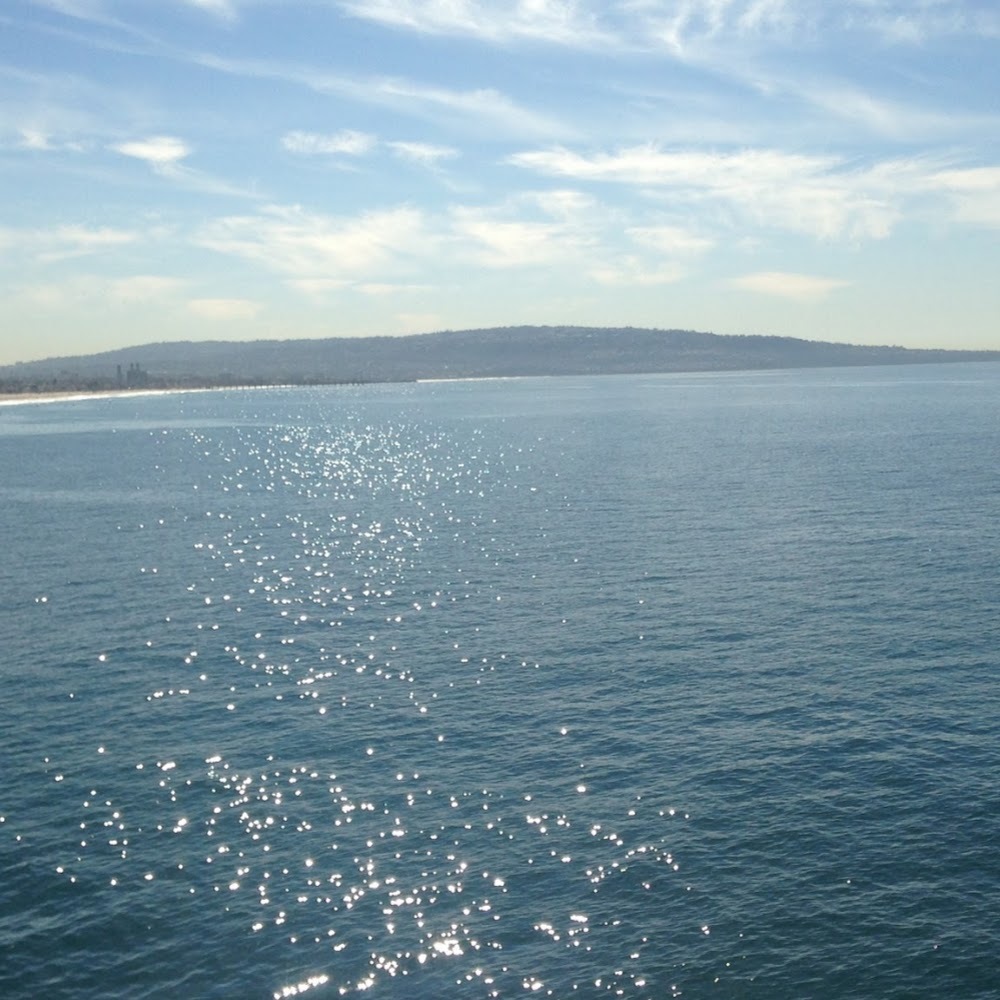 Meet your Posher, Miss